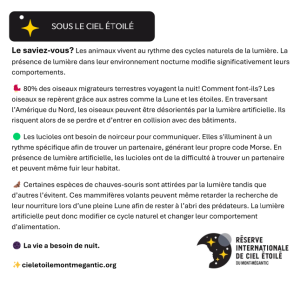 C16 - Impacts sur la faune