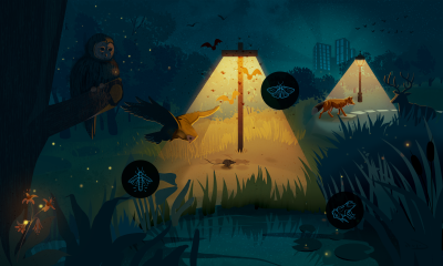 LA VIE A BESOIN DE NUIT