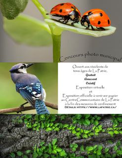 Le concours a prit fin le 8 mai 2020