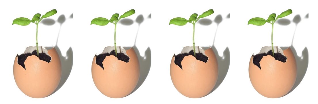 Projets communautaires Projets communautaires